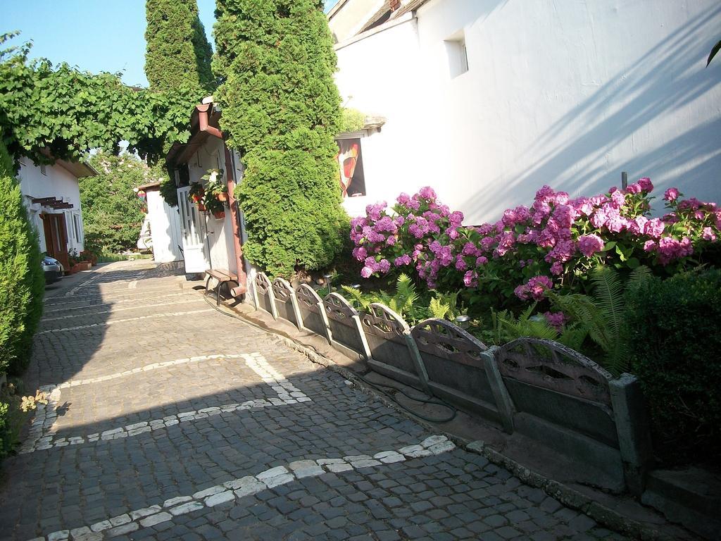 Casa Sara Hotell Săcele Exteriör bild
